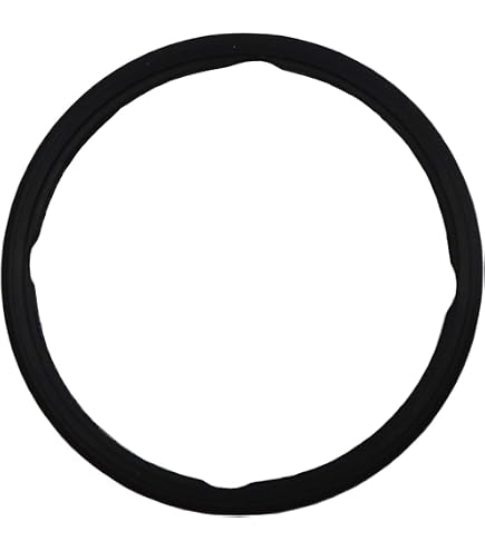 Amazon.com: FEL-PRO 35991 Engine Coolant Thermostat Gasket for